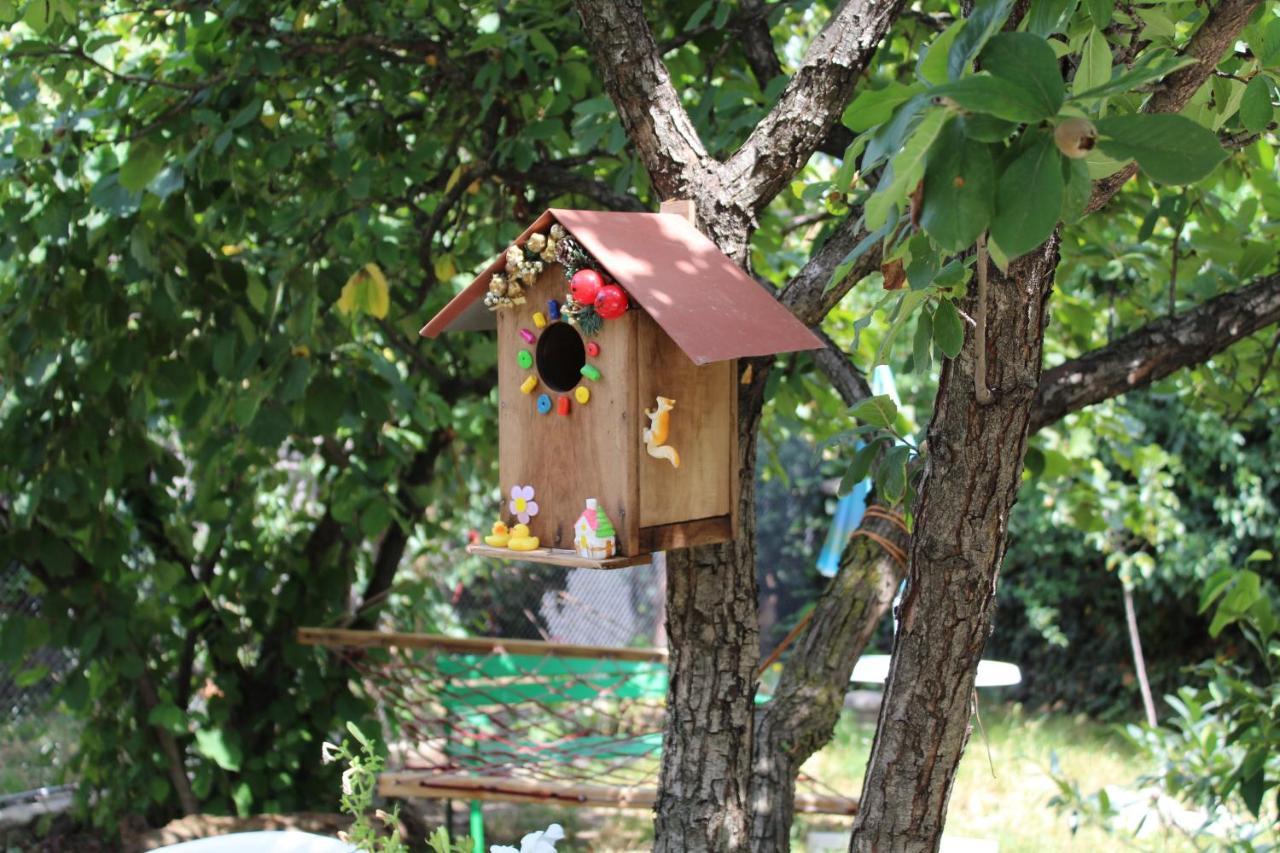 Guest House Poligloti Telavi Exterior foto